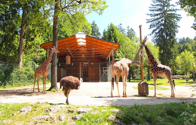 ZOO Ljubljana