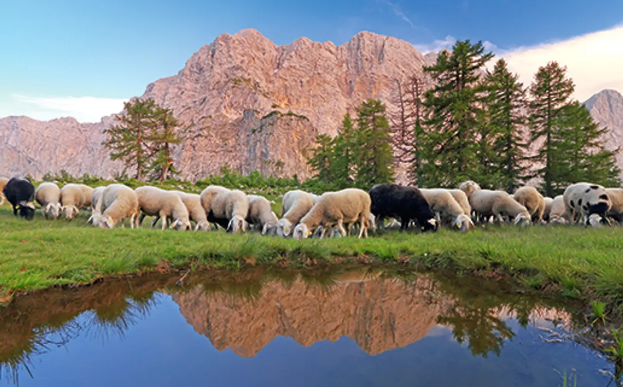 Triglav national part - A priceless pearl of nature