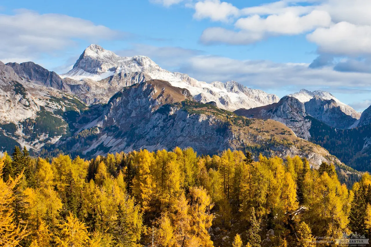 TNP-Triglav